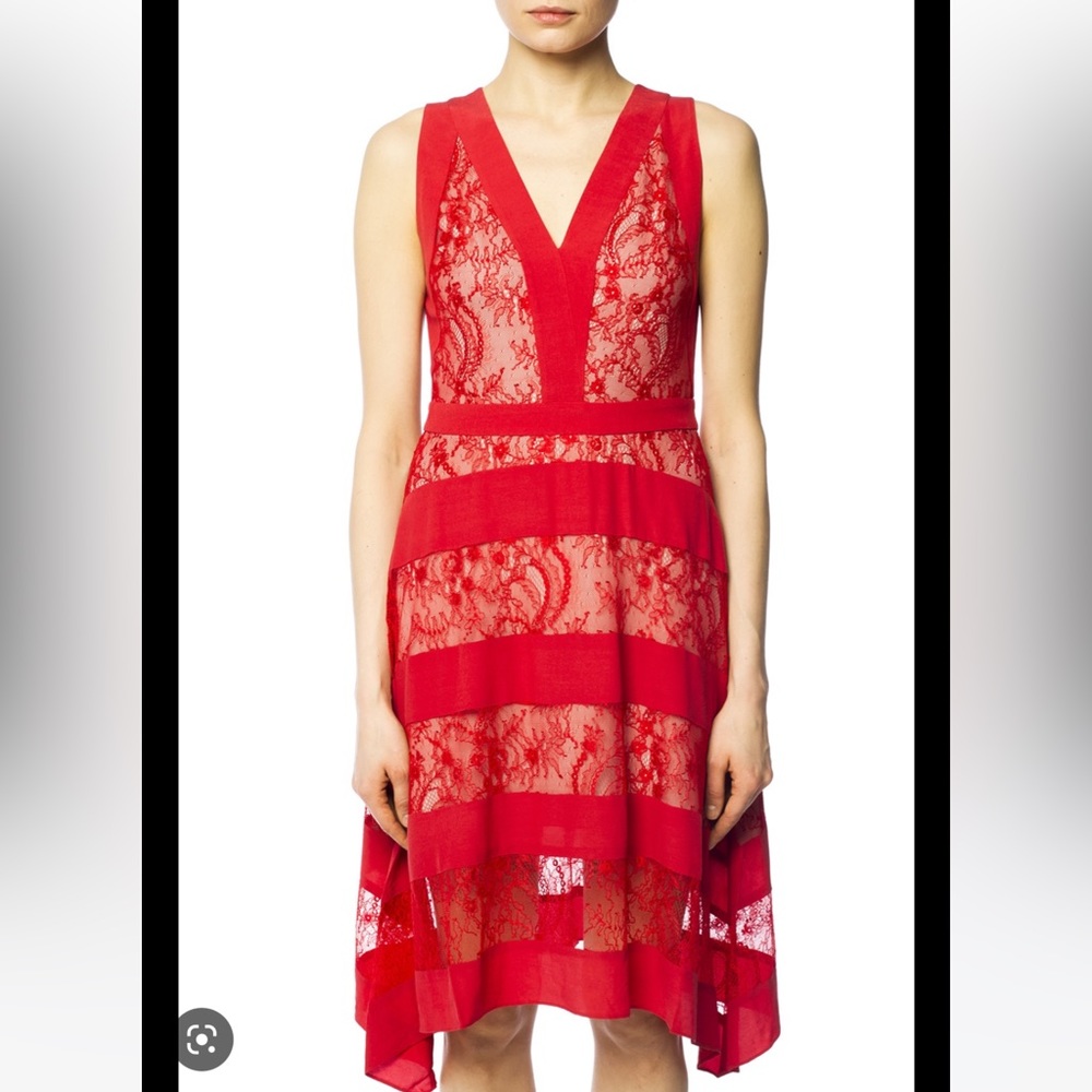 Allsaints “Gwen” lace sheer dress